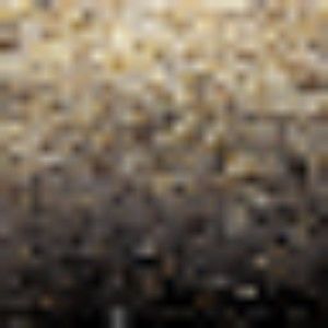 Meet your Posher, Giselle